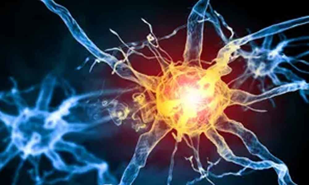 Researchers have discovered a new pain organ in skin