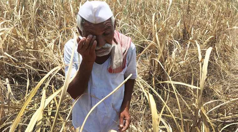 REPORT OF THE INTERNAL WORKING GROUP TO REVIEW AGRICULTURAL CREDIT