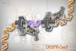 CRISPR Cas9